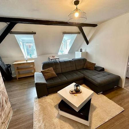 Logement Entier Au Coeur De Strazburg Dış mekan fotoğraf