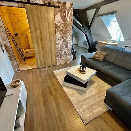 Logement Entier Au Coeur De Strazburg Dış mekan fotoğraf
