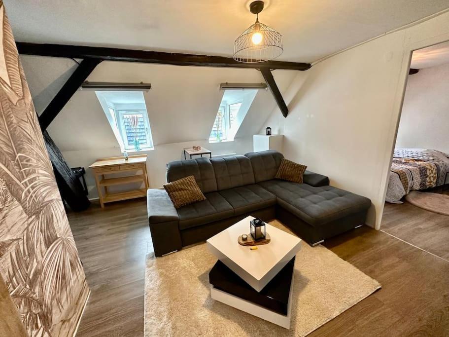 Logement Entier Au Coeur De Strazburg Dış mekan fotoğraf