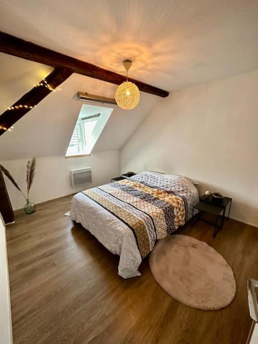 Logement Entier Au Coeur De Strazburg Dış mekan fotoğraf