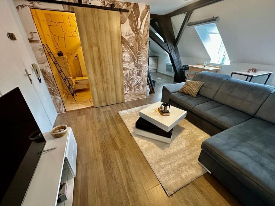 Logement Entier Au Coeur De Strazburg Dış mekan fotoğraf